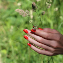 Vernis à ongles Red Coral  - 15ml - Green Manucurist