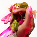 vernis-green-flash-bloom