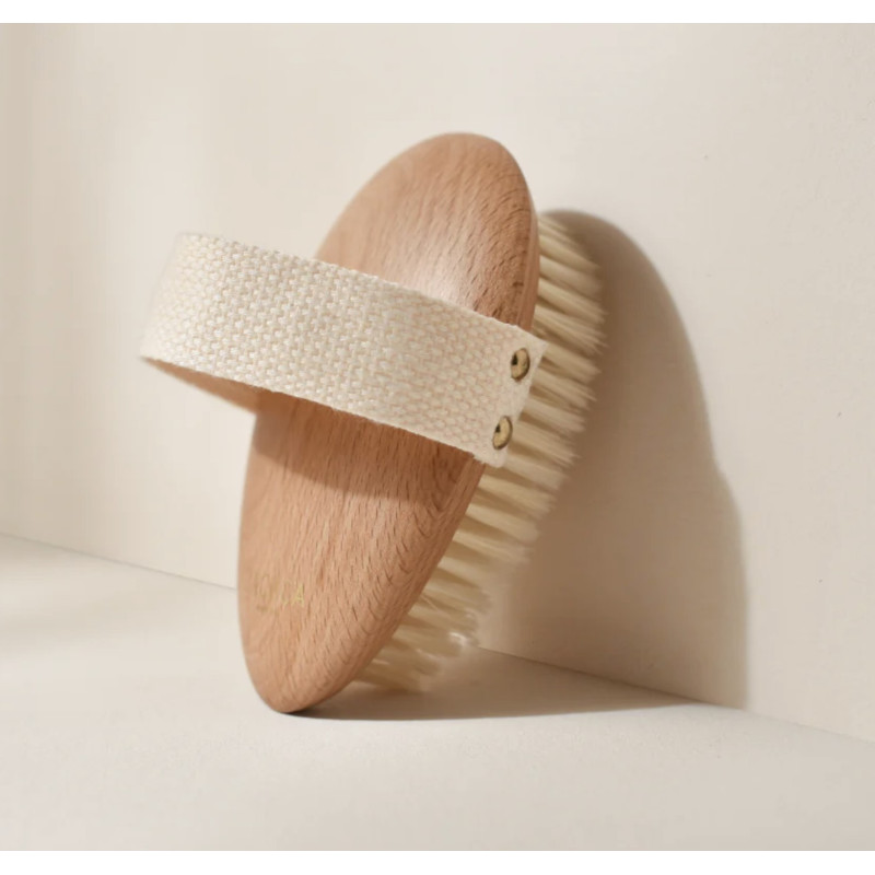 brosse corps-brossage à sec-bachca