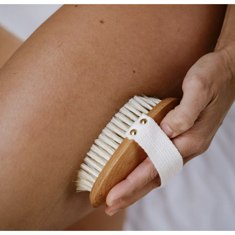 brosse corps-brossage à sec-bachca