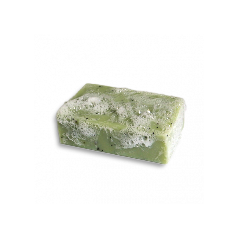 Savon Le Gecko- 100g - Clémence et Vivien