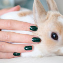 Vernis GREEN FLASH Semi-permanent-Emerald - 15ml -Manucurist