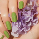 Vernis GREEN FLASH Semi-permanent- Petit pois  - 15ml -Manucurist