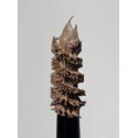 Gel teinté à sourcils Grow and fix teinte 2 smoky blond - Madara